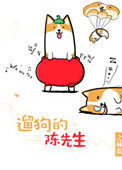 遛狗的陈先生小说