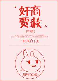 奸商贾赦[红楼]小说