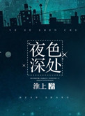 夜色深处小说