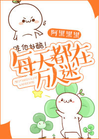 每天都在万人迷小说