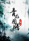 青龙图腾小说