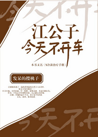 江公子今天不开车小说