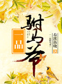 一品驸马爷小说