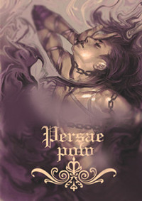 波斯刺客：囚徒之舞小说