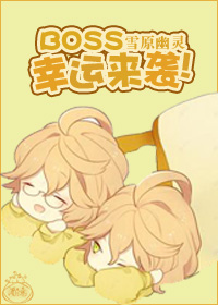 BOSS，幸运来袭！小说