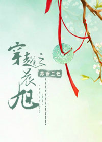 穿越之晨旭小说