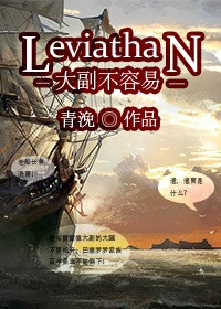 大副不容易小说