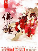 佛门恶妻小说