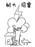 树大招雷小说