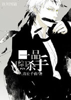 [综]一品杀手小说