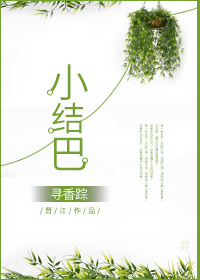 小结巴小说