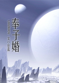 奉子婚小说