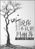 听说你不认识玛丽苏？[穿书]小说