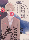 重生之二次婚姻小说