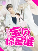 宝贝你是谁小说