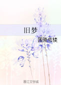 旧梦小说