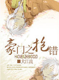 豪门之抱错小说