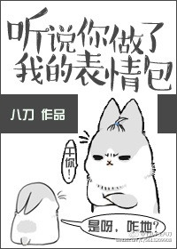 听说你做了我的表情包小说