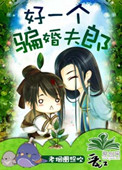 好一个骗婚夫郎小说