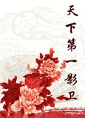 天下第一影卫小说
