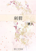 刺猬小说