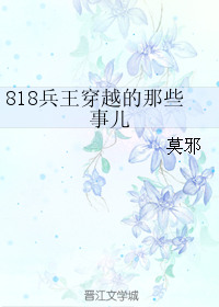 818兵王穿越的那些事儿小说