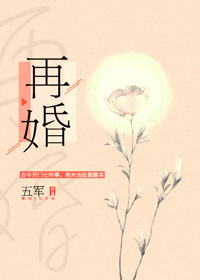 再婚（耽美）小说