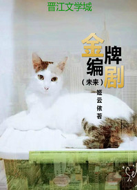 金牌编剧（未来）小说
