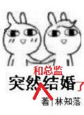 突然和总监结婚了小说