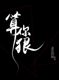 算你狠小说