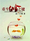 重生白金之键小说