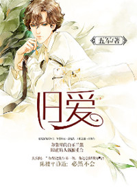 旧爱[重生]小说