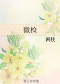 微检小说