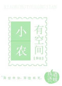 小农有空间小说