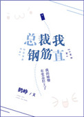 总裁我钢筋直小说