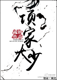 项家大少小说