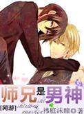 师兄是男神小说
