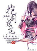 抱剑观花(剑三+陆小凤同人)小说