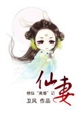 仙妻小说
