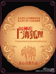 上清狐狸小说