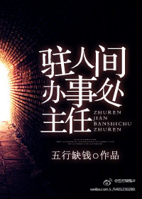 驻人间办事处主任小说