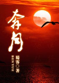 (正版)奔月小说