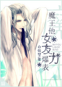 魔王他女友力爆表小说