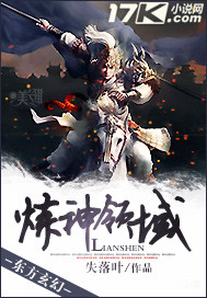 炼神领域小说