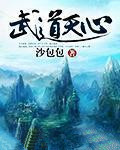武道天心小说