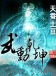 武动乾坤（精校版）小说