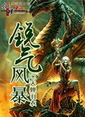 锐气风暴小说