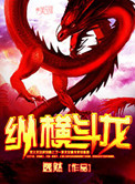 纵横斗龙小说