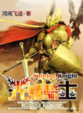 光辉骑士小说
