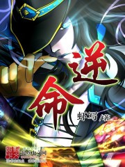 逆命小说